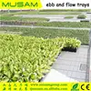 Agricultural Equipment Ebb and Flow Rolling Tables/Flood Plastic Trays 4*8Ft