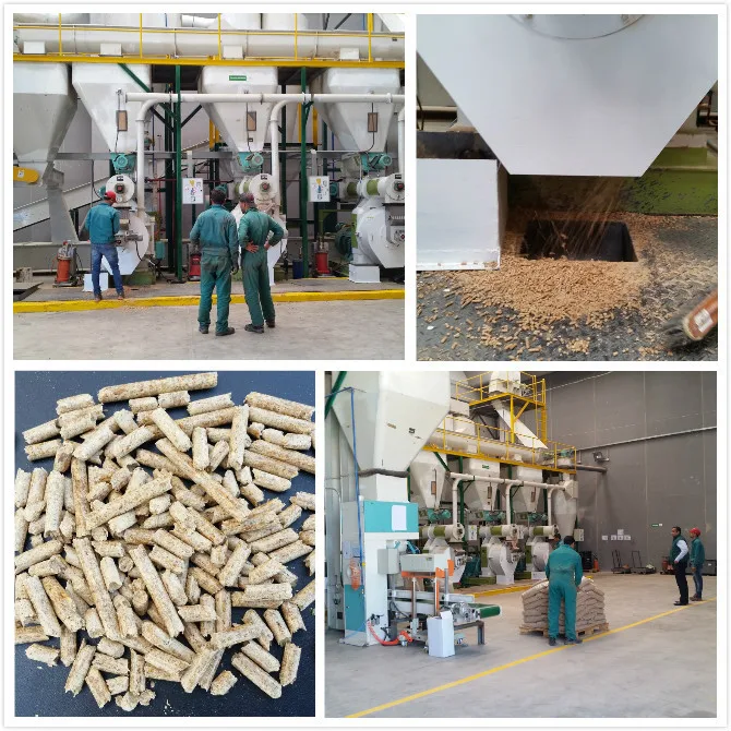 Wood pallet/Woodchips/Paper Pulp/Biomass Pellet Machine Granulator 