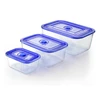 Best Price Free Sample Blue Lid Storage Keep Hot Microwave Takeaway Food Container