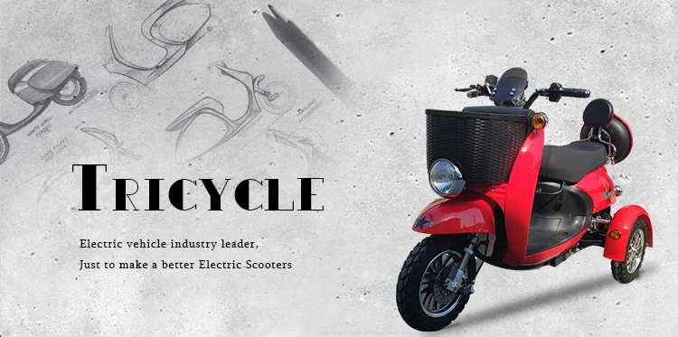 tricycle 3 wheel motorized tricycle adults for sell in philippines electric motorcycle electric scooter electric tricycles
