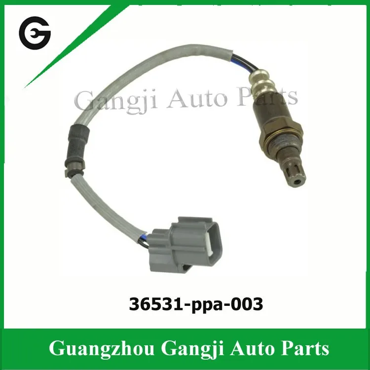 36531-ppa-003