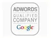 SEO Optimization & Adword Service