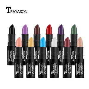 Make Up Mat Lipstick Waterproof Long Lasting Women High Pigment Lipsticks
