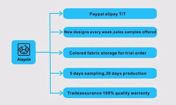 Aisycle profile.jpg
