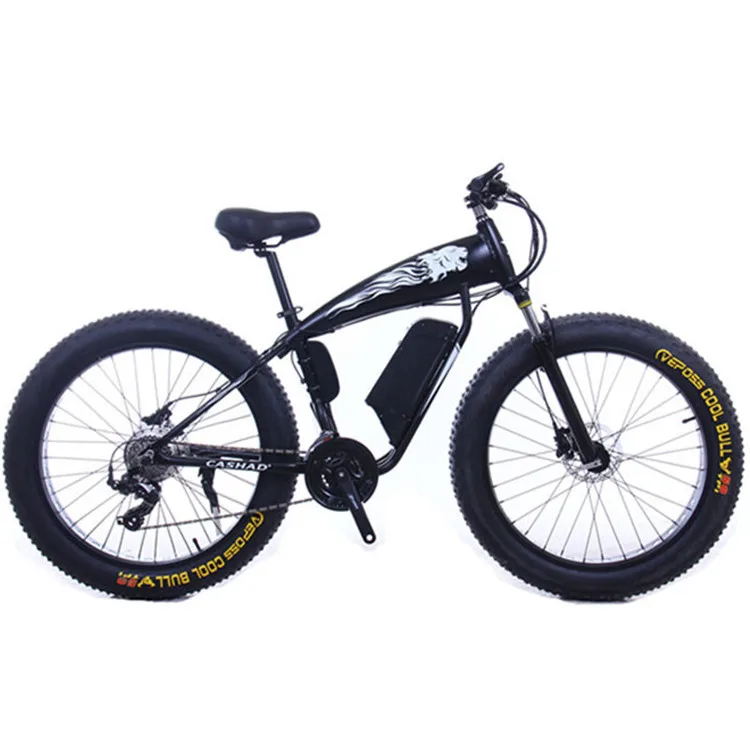 

High speed powerful beach 48V 750W Mountain exercise Electric Bike Fat tyre Beach electric bike for adults, Customized
