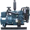 Diesel Engine Kubota D1105