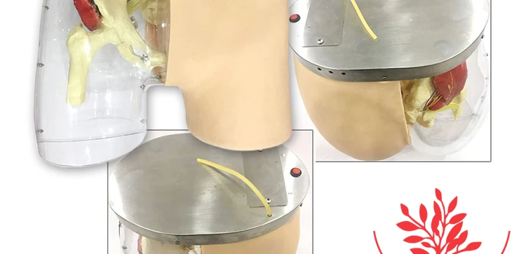 10 Injection model.jpg