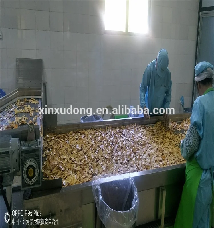 factory supplier China automatic banana plantain chips  stainless steel plantain chips machine
