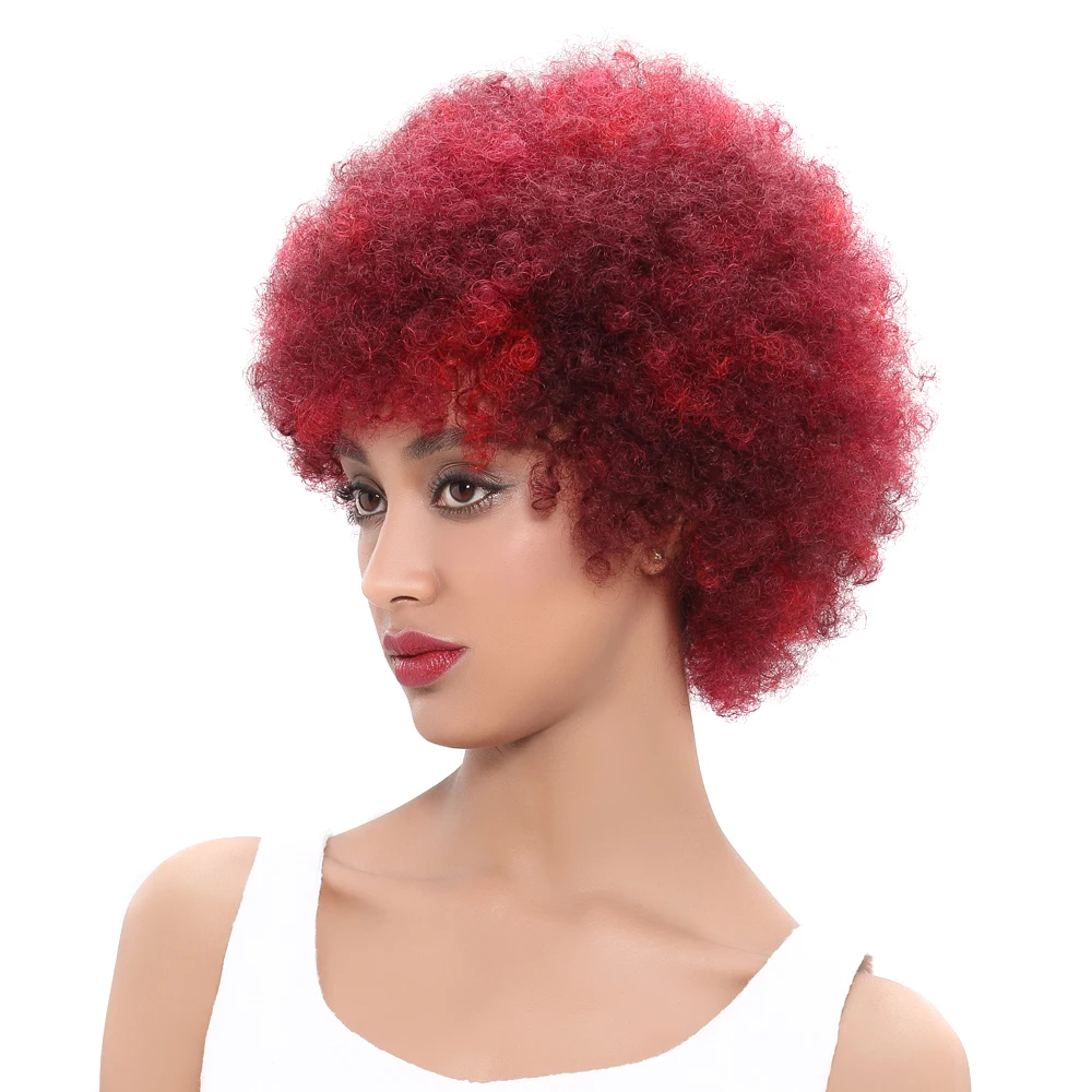 

Afro Kinky Human Hair Wig for Black Women