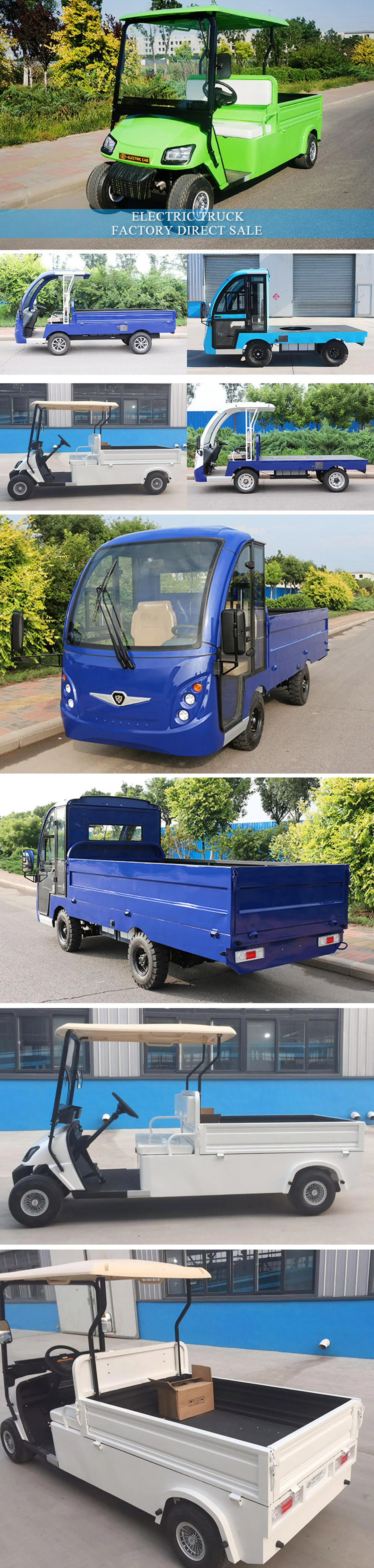 2 Seater Pickup Truck Mini Electric Truck Golf Cart Products from