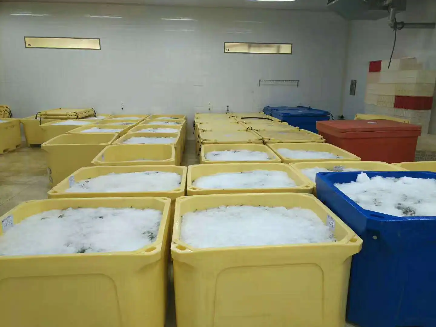 1000l High Performance Large Plastic Fish Tub,Fish Bin,Seafood Cold