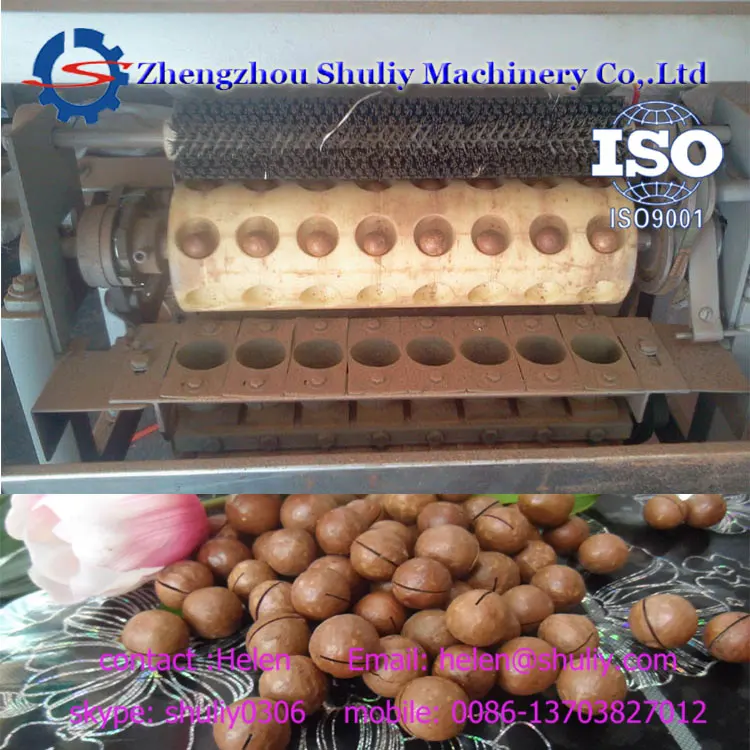 Macadamia Nuts Shell Cutting Machine /industrial Macadamia Nuts