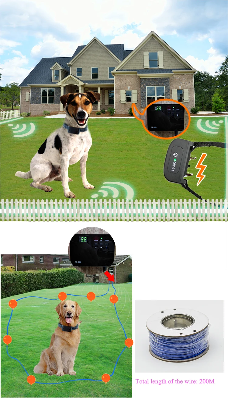 shock gate for dogs