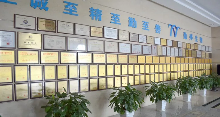 
Chloramphenicol ELISA Test Kit 