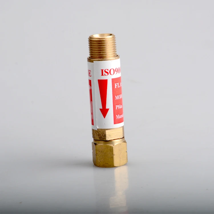 Original Factory Newest Flashback Arrestor For Gas Cutting Torch Buy