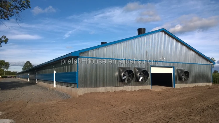 Prefab steel structure dairy cow shed farm, cow house