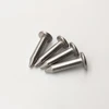 Round head solid pointed nail self tapping rivet iron remove rivets