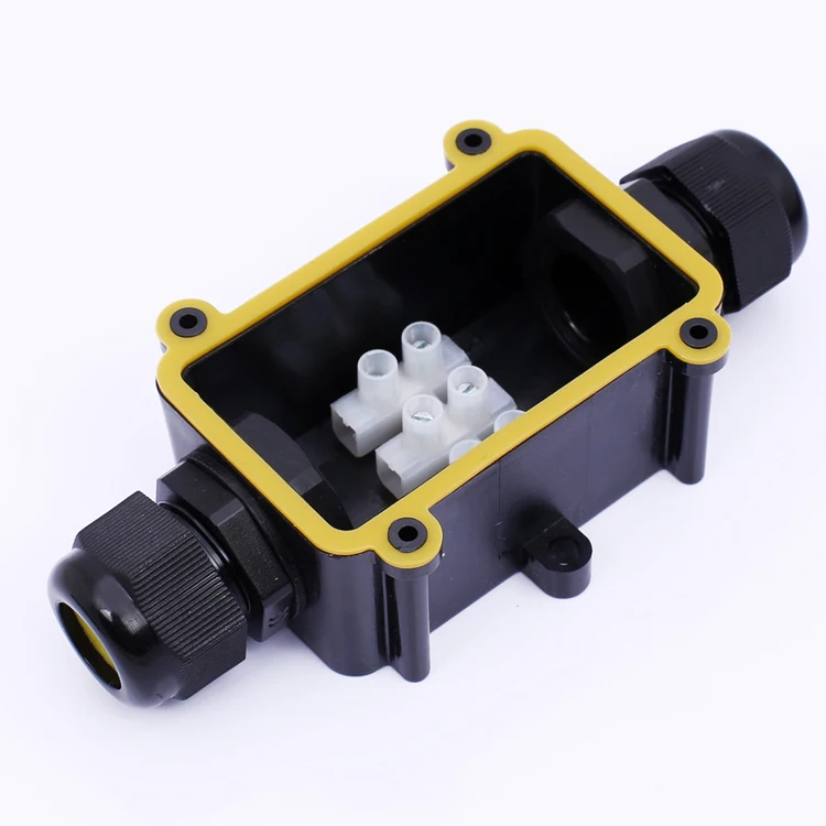 FV0A5567.jpg