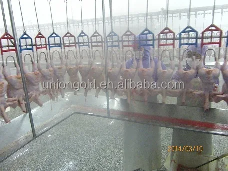 chicken producing line (5).JPG