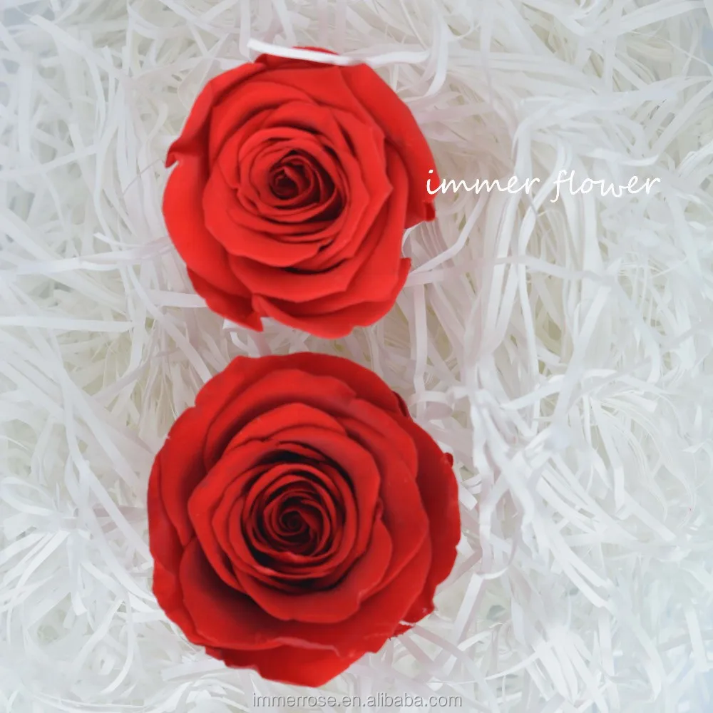 4-5cm eternal rose (29)