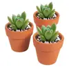 Small Mini Clay Terra Cotta Cactus Flower Pots Ceramic Planters Succulent Pots