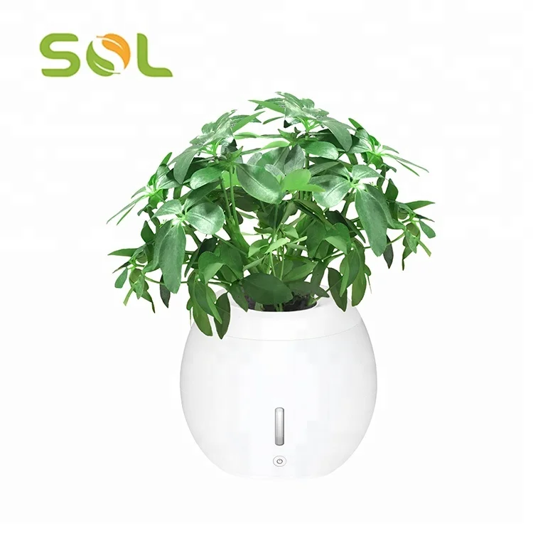 

SOL Self-Watering Plant Natural Air Humidifier Planter Smart Indoor Herb Garden Ecological Negative Anion Flower Pots, White/grey