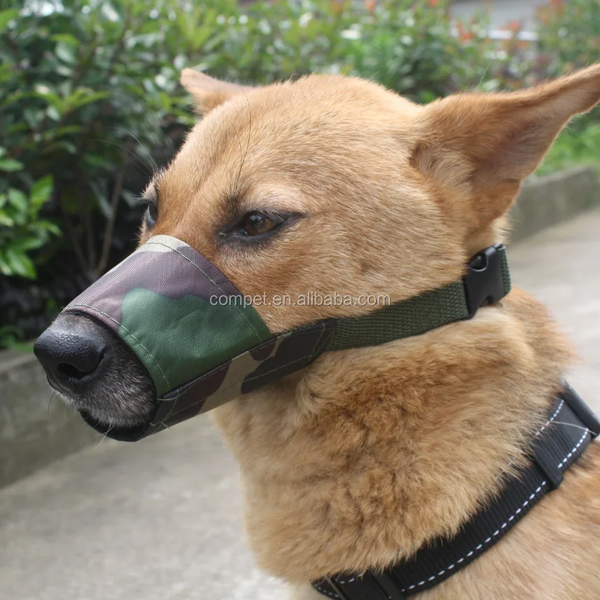 dog mouth protector