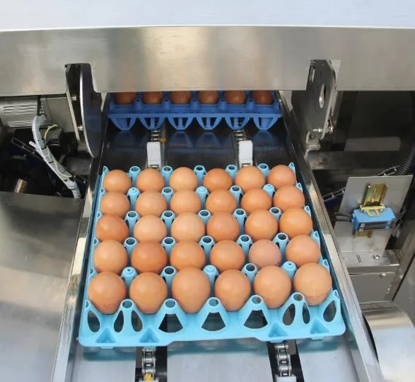 Efficient Automatic Egg Farm Packer Egg Packaging Machine - Buy Egg ...