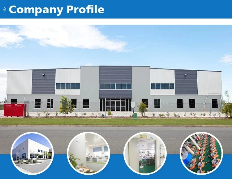 Oc2000 Factory Supply High Quality Portable Multi Gas Analyzer With