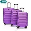 abs printed hard shell luggage/travel case/wheel luggage