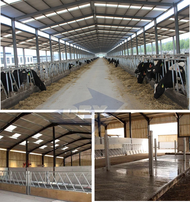 cow shed farm building1.jpg