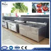 UV frozen meat washer/vegetable washing machine(skype:thrive003)