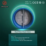 Dual Plate Check Valve