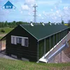 Poultry Chicken Broiler Design House For 5000, 10000, 15000, 20000 Birds