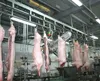 Pig carcass half cutting machine slaughter equipment