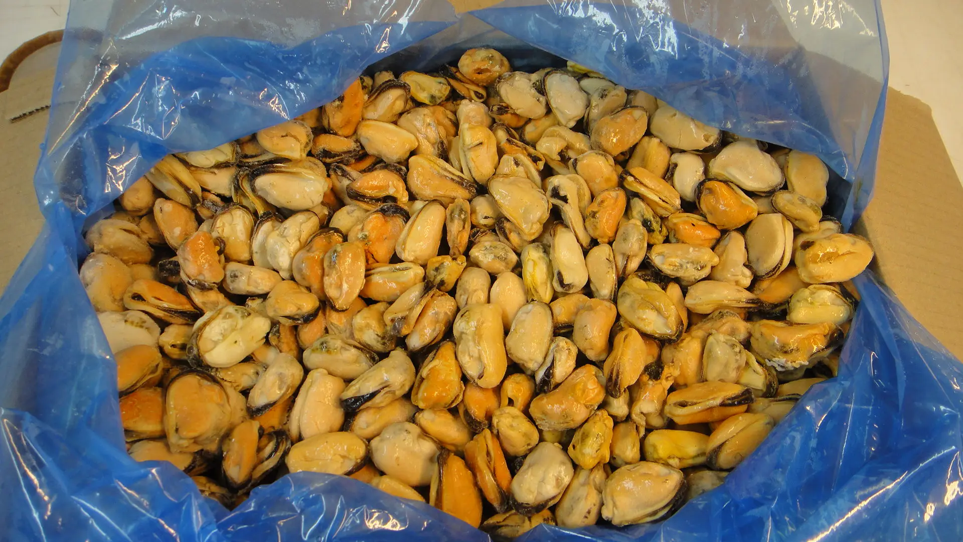 black mussel blue mussels canned mussel