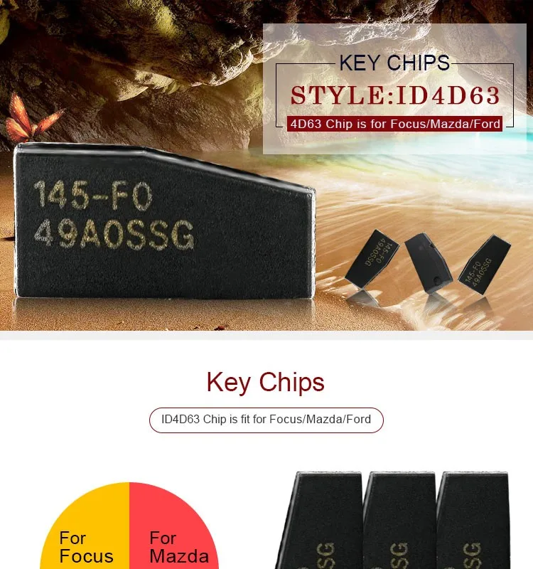 DY120512--Focus-ID4D63-Chip_01