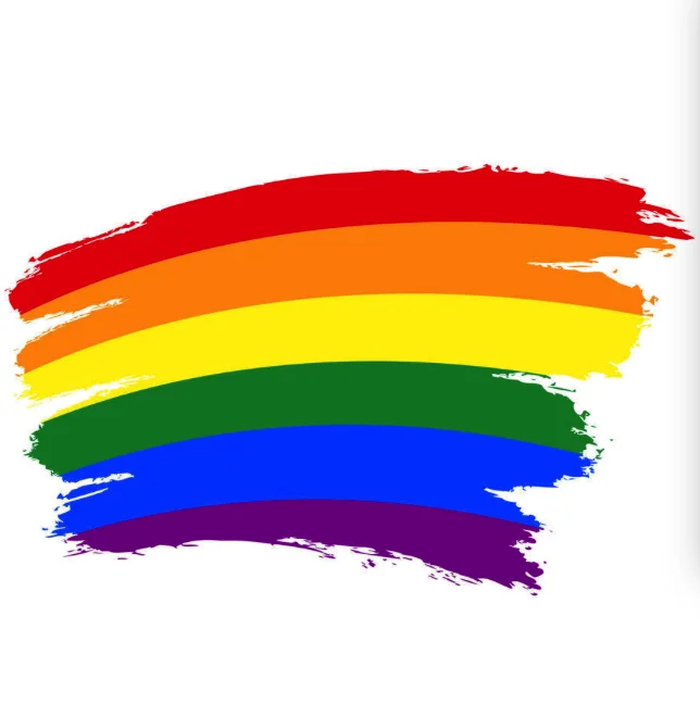 why is rainbow the colors of the gay flag