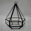 black metal frame glass terrarium hanging geometric glass terrarium