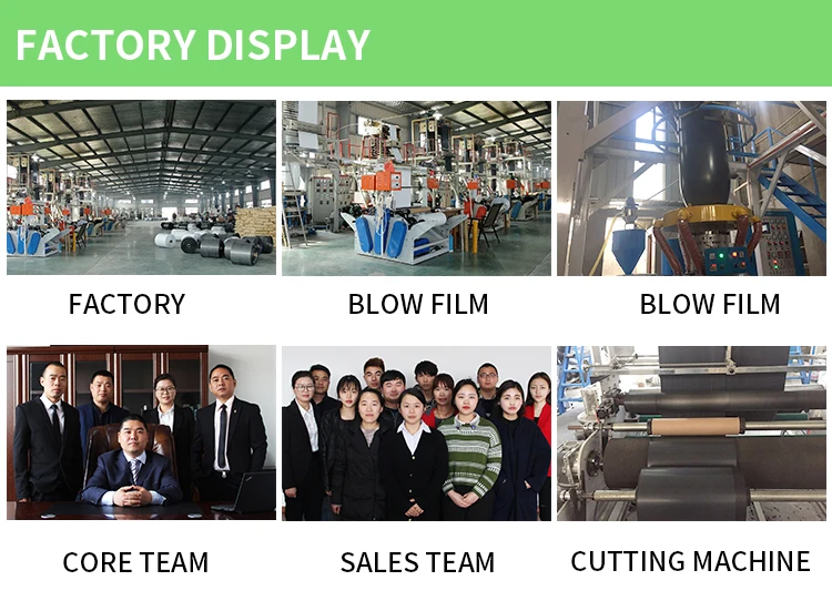 factory display.jpg