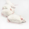 Frozen Mouse for Reptiles Food Pinky and Adult Rats for Lizards Pet Food