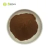 Supplements Reishi Ganoderma Lucidum Shell Broken Spore Powder Capsules