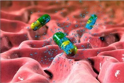 HPMC_Vegan_Pill_Capsules.jpg