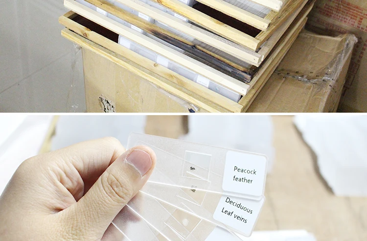 12plastic slides.jpg