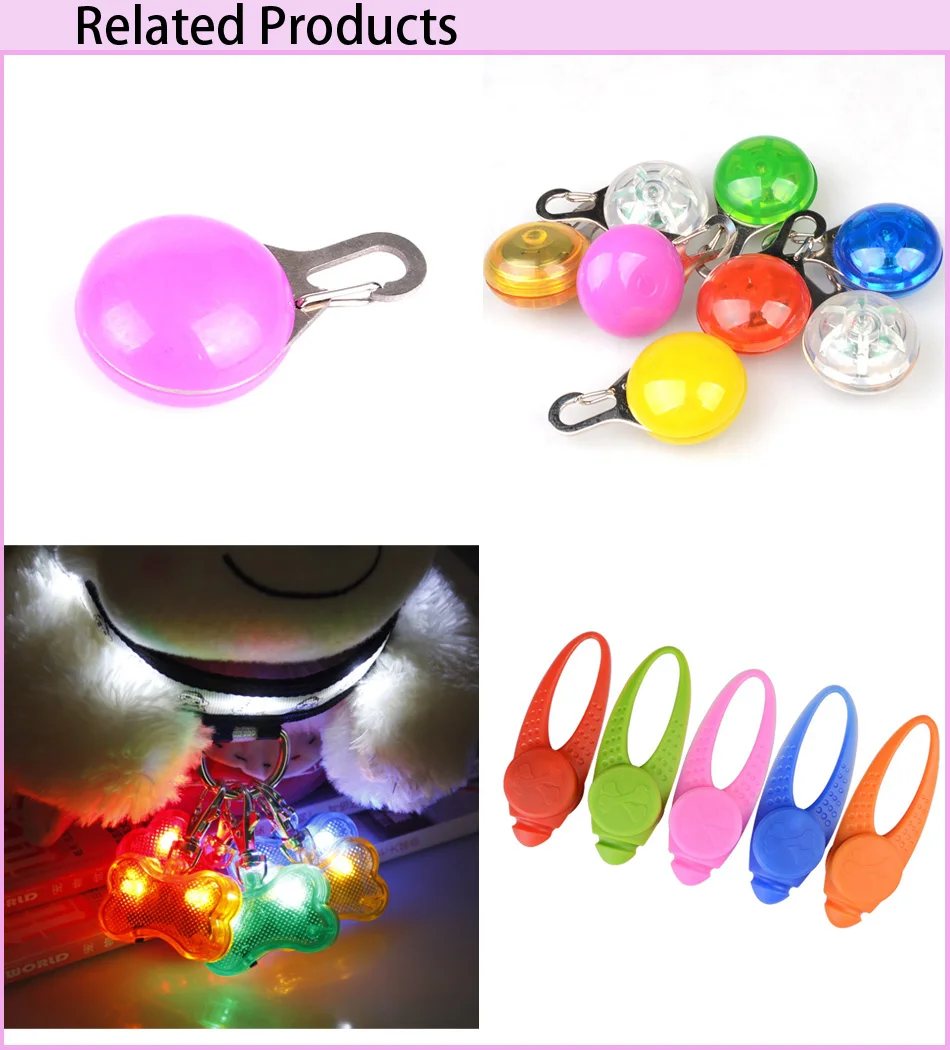 PET LIGHT.jpg