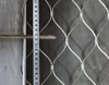 hot sale Stainless Steel Weaving cable Rope Netting