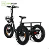 /product-detail/new-style-20inch-500w-electric-cargo-trike-3-wheel-tricycle-60778616723.html