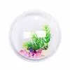 JAA-174 Heart Shape Acrylic Fish Bubble,Wall Mount Hanging Beta Fish Bubble Aquarium Bowl Tank Heart
