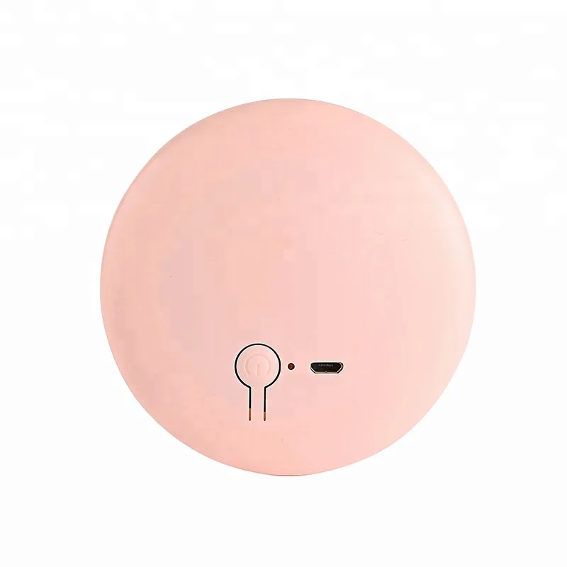 

China wholesale daily portable mini pretty lady makeup mirror with led light