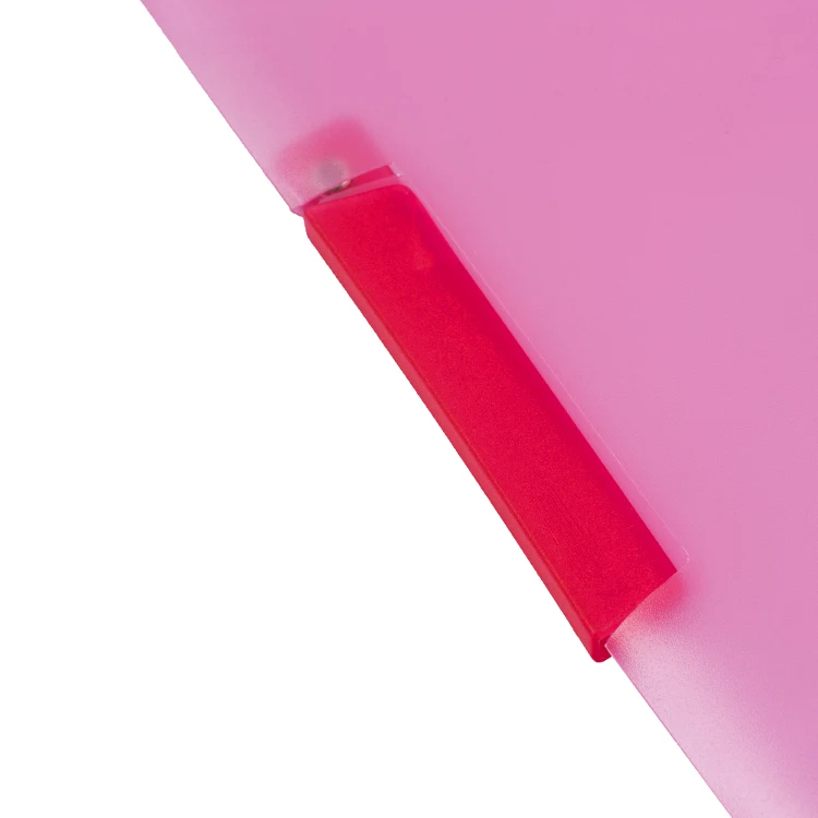 A4 Translucent Plastic Pp Clip File Folder With Swing Clip Buy Clip